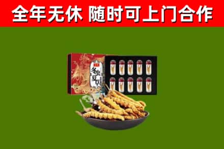 循化县回收冬虫夏草价格